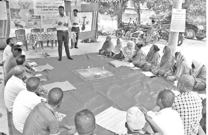 ঠাকুরগাঁওয়ে রানীশংকৈলে কৃষকরা হাতেকলমে শিখছেন চাষ পদ্ধতি