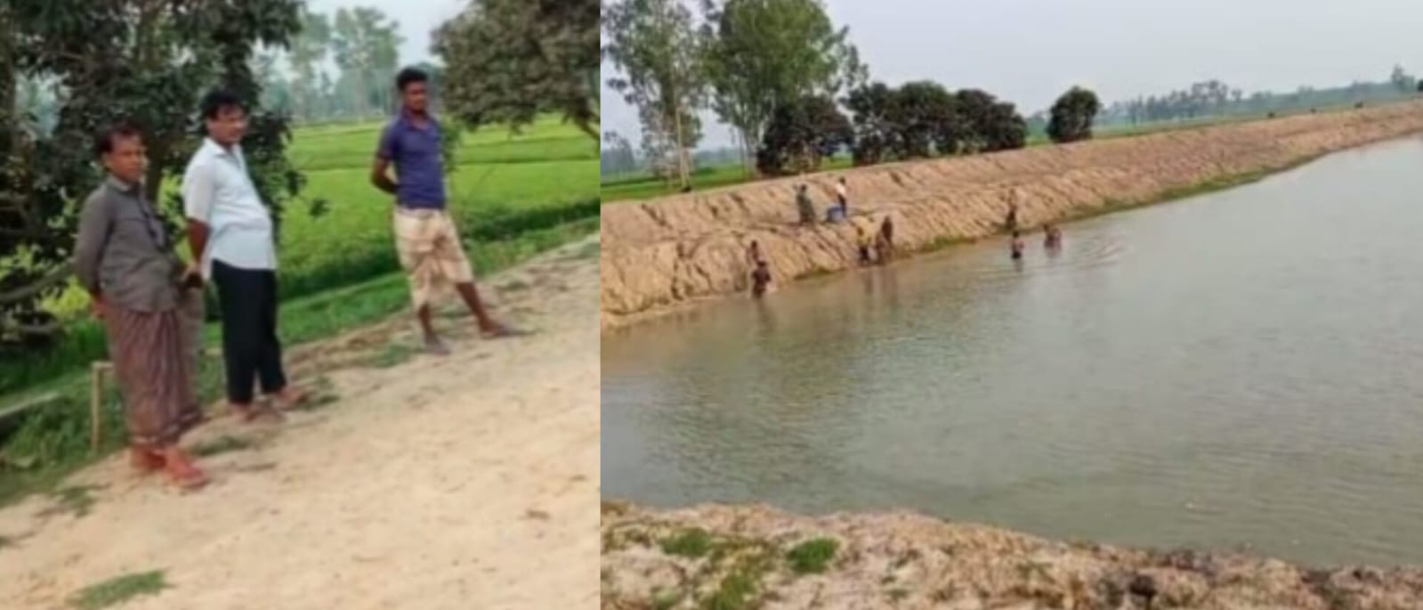 মিঠাপুকুরে চলমান মামলার মধ্যেই ফের মাছ লুট: প্রধান শিক্ষকসহ সংঘবদ্ধ চক্রের বিরুদ্ধে অভিযোগ