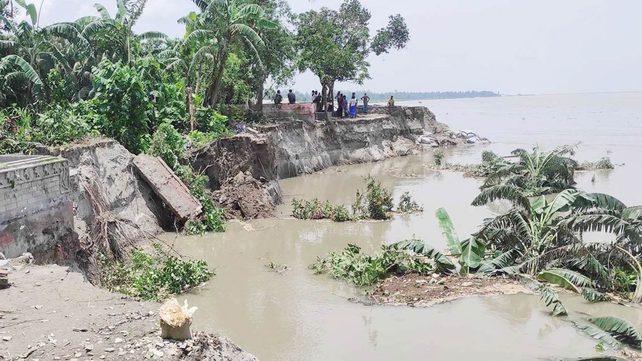 যমুনায় বাড়ছে পানি সিরাজগঞ্জে শুরু হয়েছে ভাঙন