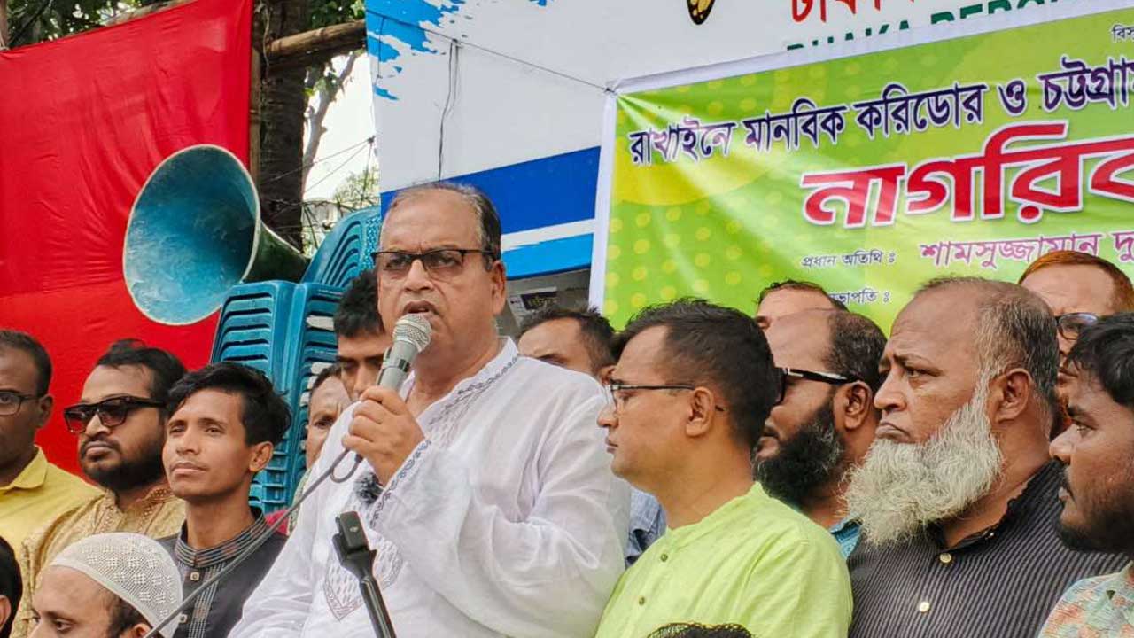 শামসুজ্জামান দুদু/মানবিক করিডরের নামে দেশকে যুদ্ধের দিকে ঠেলে দেবেন না