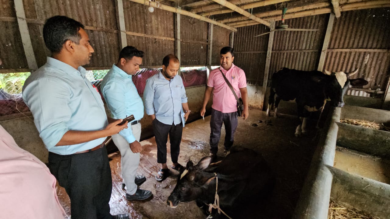 সরকারীভাবে সরবরাহ নেই ভ্যাকসিন আতঙ্কিত কৃষক-খামারীরা
