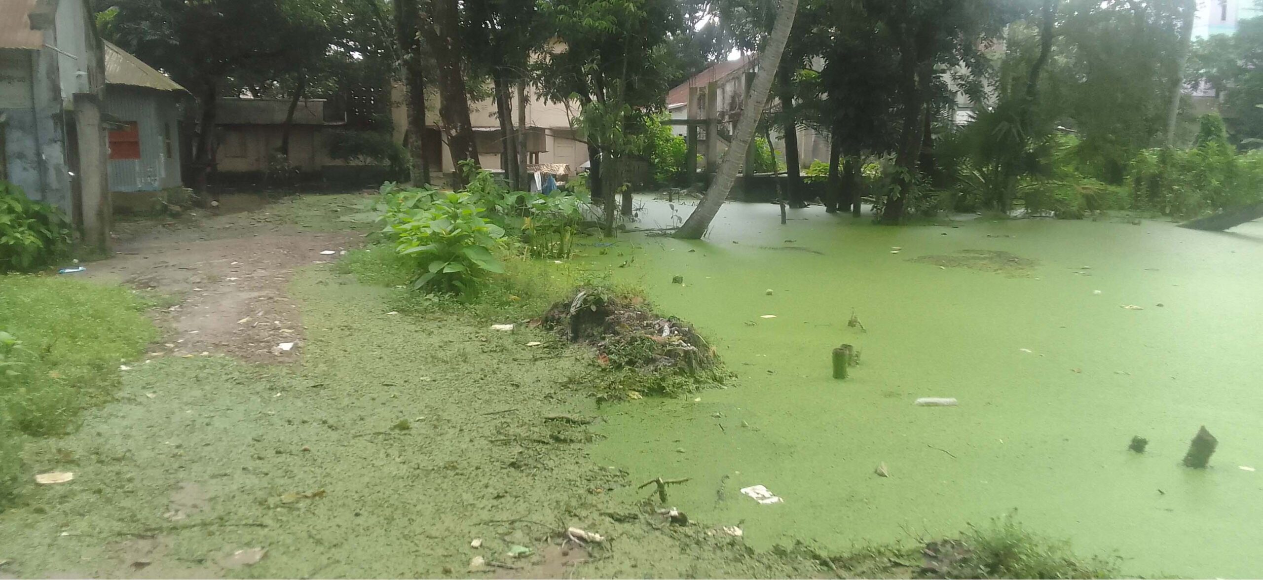 কামারখালী বাজারে জলাবদ্ধতা-ভোগান্তি চরমে