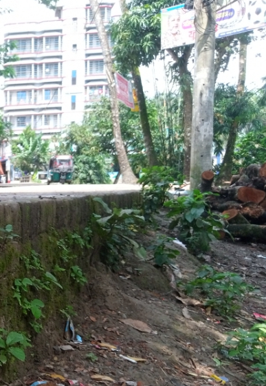 রায়পুর মহিলা কলেজ রোডে রেলিং না থাকায় ঝুঁকিতে জনসাধারণ