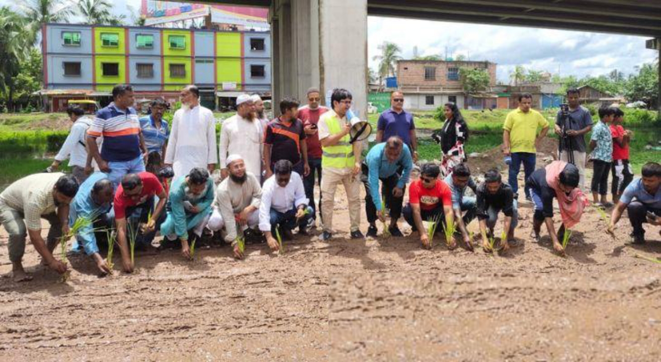 খুলনার শিপইয়ার্ড সড়কে ধানের চারা রোপণ করে নিসচা’র প্রতিবাদ