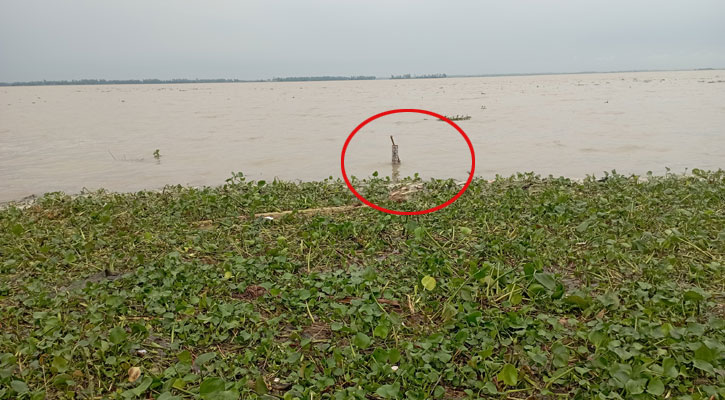 সিরাজগঞ্জে হেমন্ত ঋতুতেও পানি বাড়ছে যমুনায়