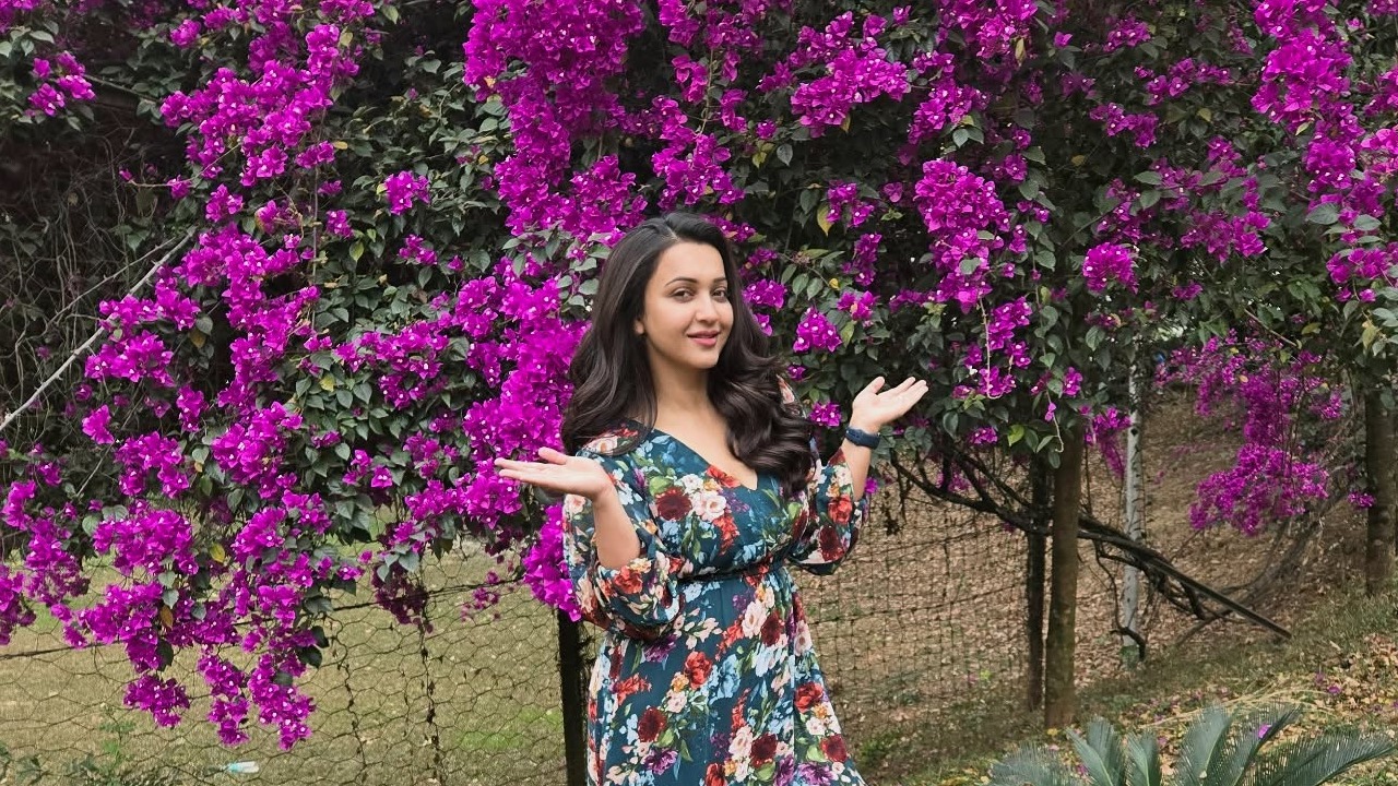 বাগান বিলাসের ছবিতে নজর কেড়েছে কৌশানী