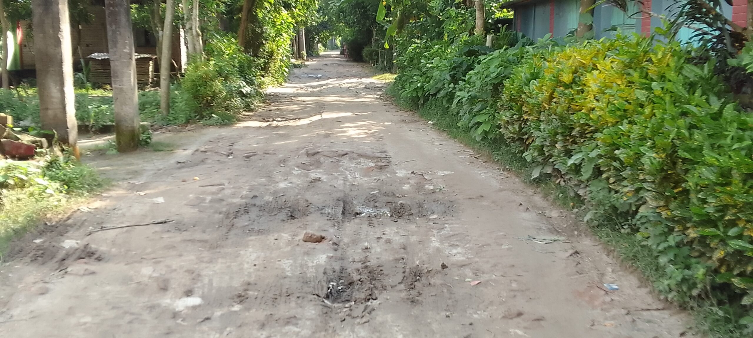 মধুখালীতে ইটের সলিং উঠে দেড় কি.মি. সড়কের বেহাল দশা