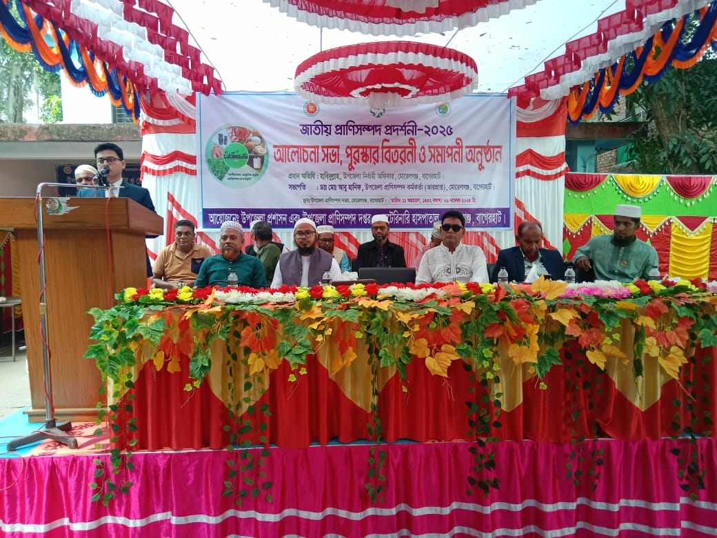 মোরেলগঞ্জে জমকালো আয়োজন— প্রাণিসম্পদ প্রদর্শনী ২০২৫-এ খামারিদের উৎসবমুখর উপস্থিতি