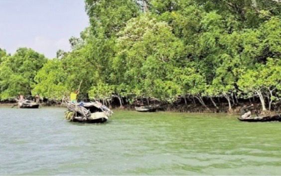 সুন্দরবন হুমকির মুখে জীব বৈচিত্র্য প্লাসটিক পলিথিন বিষে