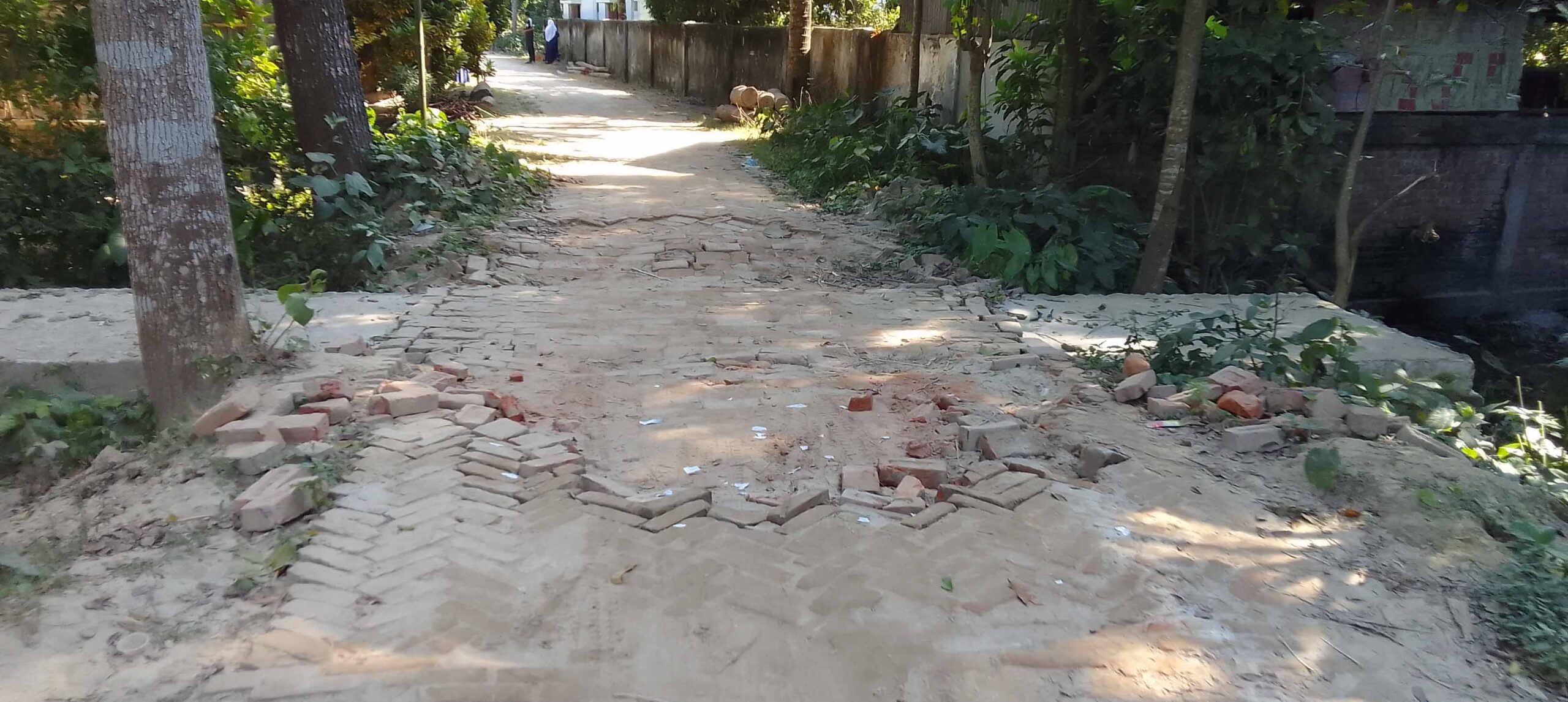 ব্রীজ আছে, রাস্তা মেরামত নেই 