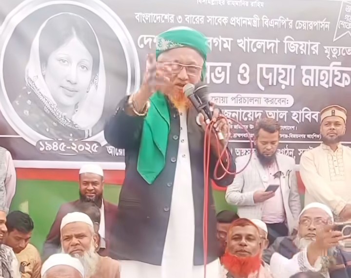 আমি রোহিঙ্গা নই”তারেক জিয়া আমাকে পাঠিয়েছে” জুনায়েদ আল হাবিব