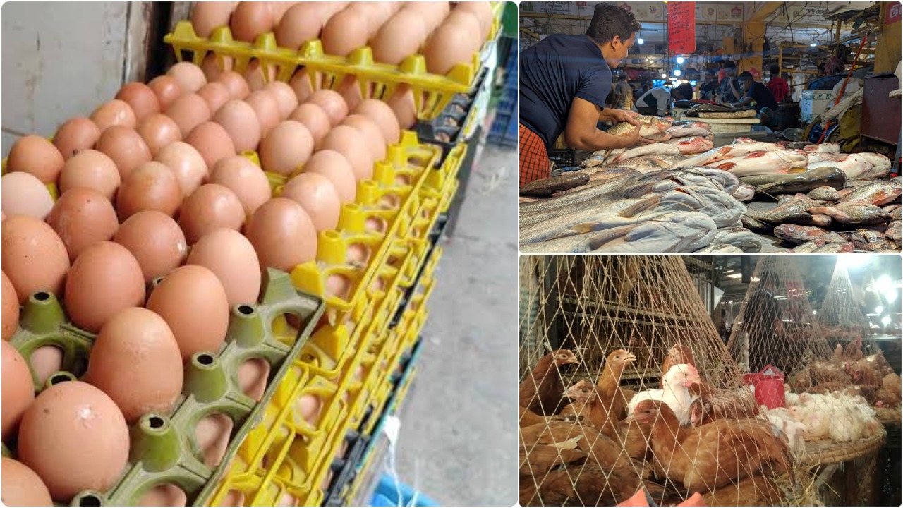 কমেছে ডিমের দাম, মাছ-মুরগির বাজার স্থিতিশীল