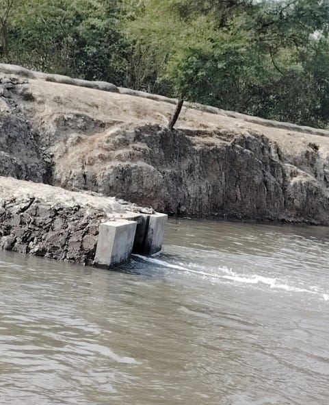 শ্যামনগরে অবৈধ লোনা পানিতে ডুবছে কৃষকের স্বপ্ন হুমকির মুখে হাজার বিঘা জমির ফসল