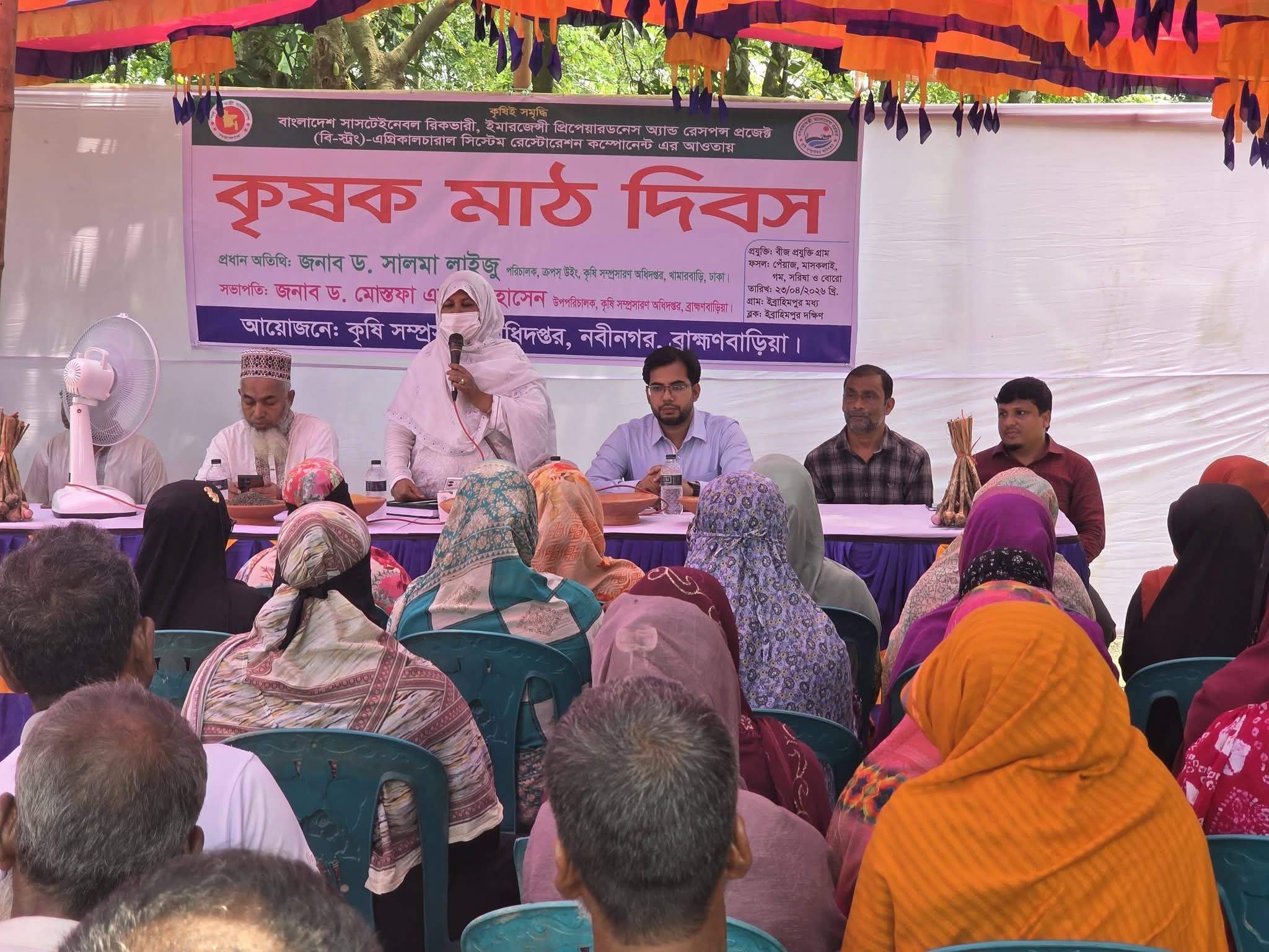 নবীনগরে বীজ প্রযুক্তি গ্রাম ঘিরে ‘বি স্ট্রং’ প্রকল্পের জমজমাট মাঠ দিবস